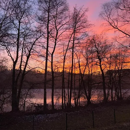 アパート Waldseechalet Julius - *